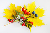 maple leaf, cotoneaster, rosa hips, blackthorn with berries
