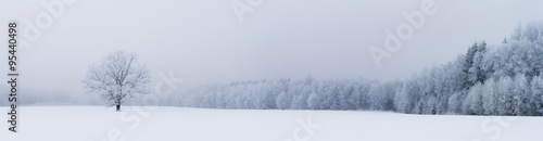 Winter panorama © indukas