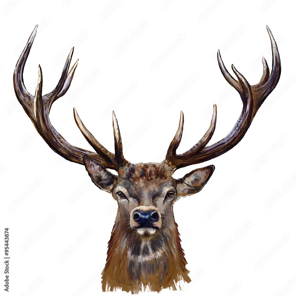 Naklejka premium obraz cyfrowy głowy jelenia / głowa jelenia z przodu