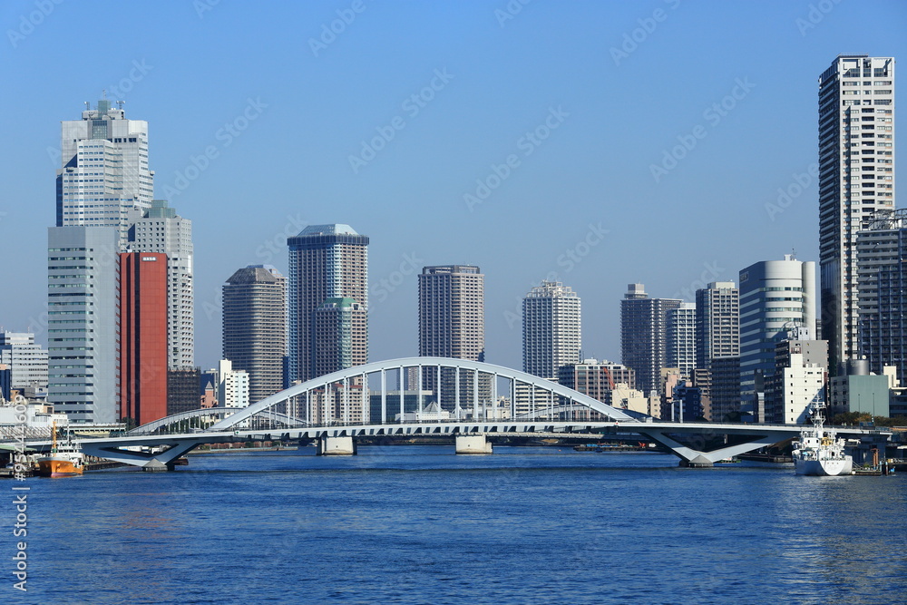 Naklejka premium 隅田川河口より望む高層マンション群の風景