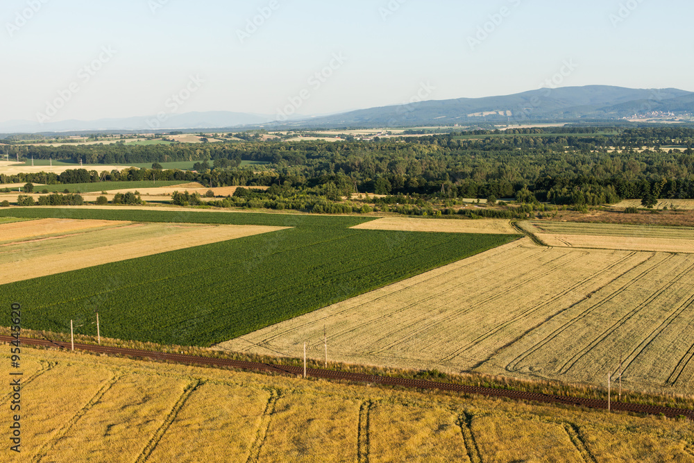 aerial view of harvest fields