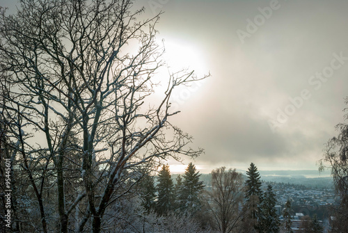 View to Holmenkollen, Oslo over trees in winter
