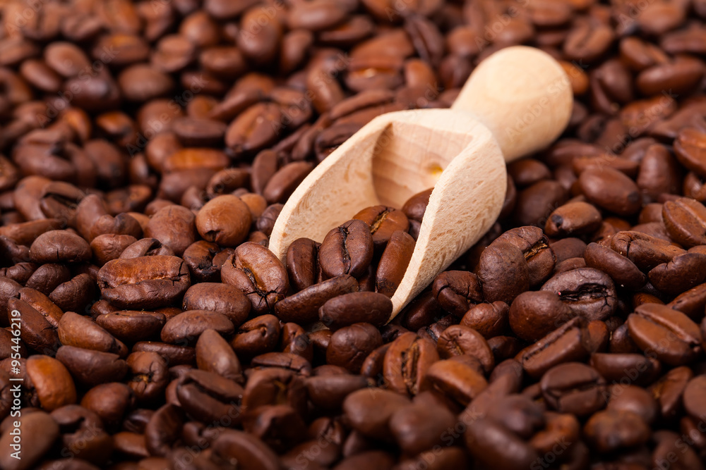 Fototapeta premium Coffee Beans./ Coffee Beans.