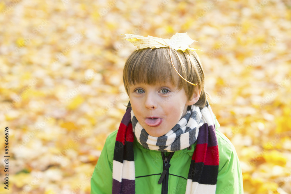 Fototapeta premium boy in park in the fall