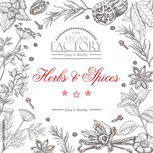 Vector background with spices and herbs
