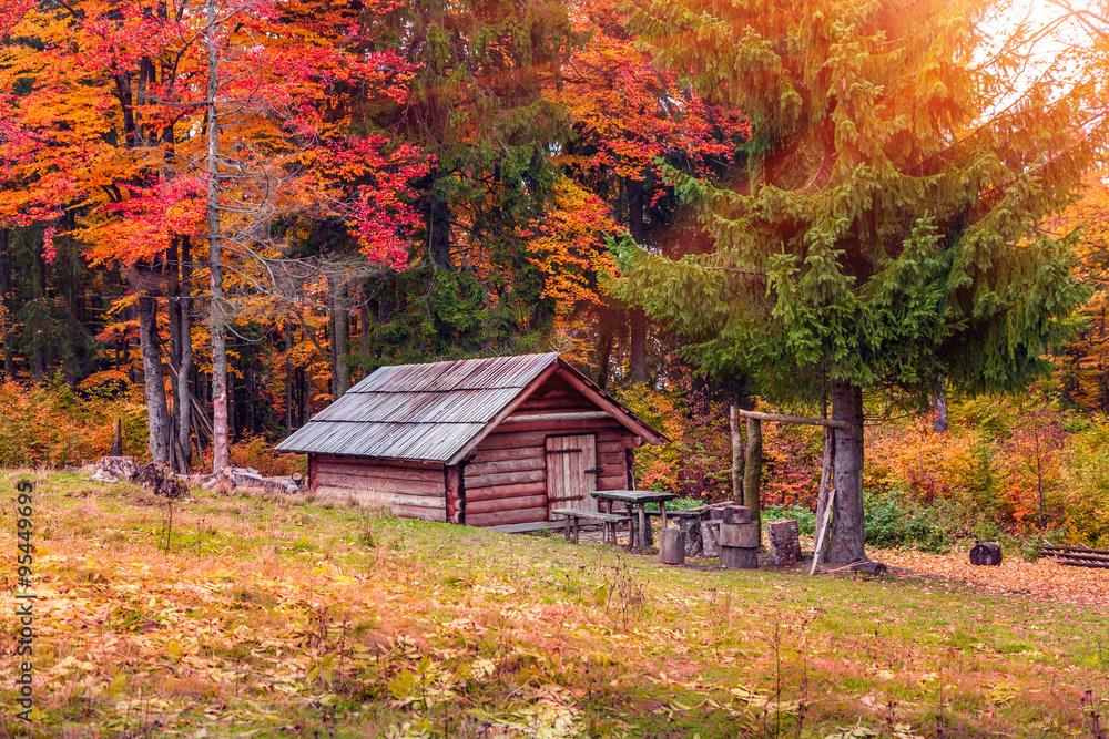 Forester's hut in the middle of autumn forest Forester's hut in the middle of autumn forest