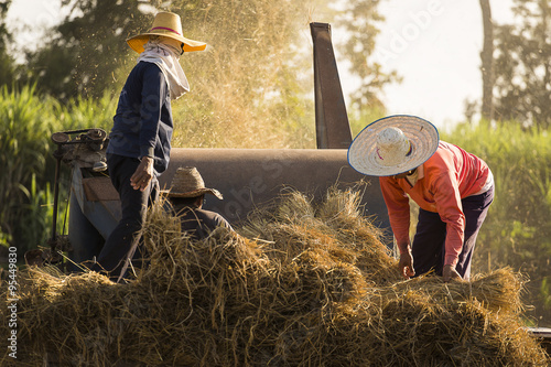 Fotografia The threshing