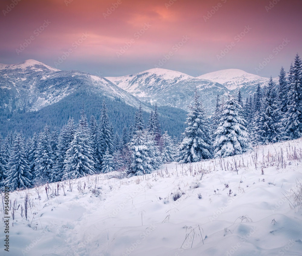 Beautiful winter sunrise in the Carpathian mountains.