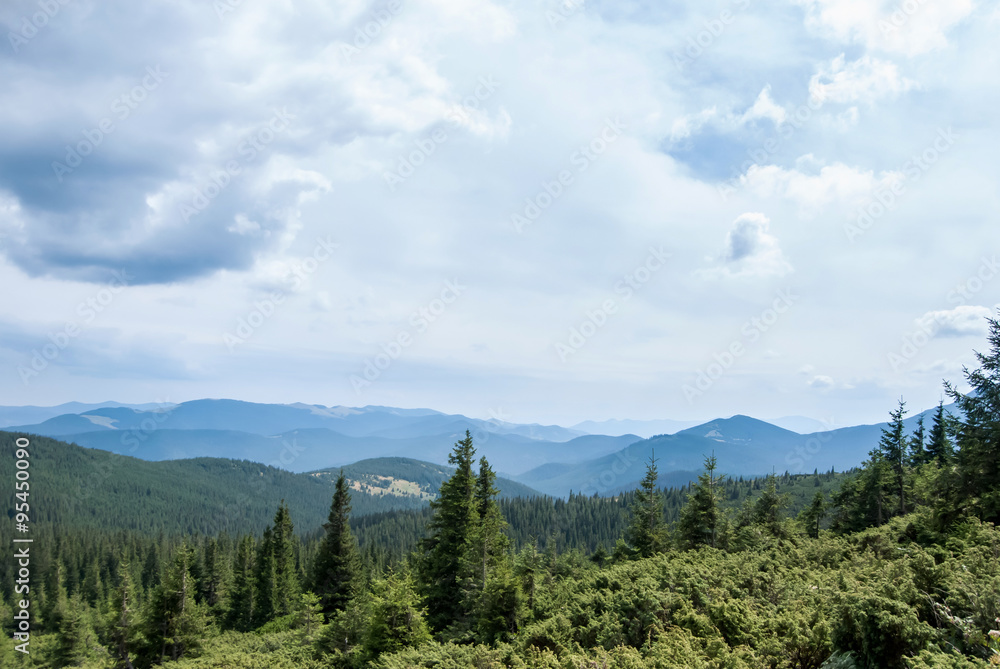 View from Goverla in the Carpathians, summer