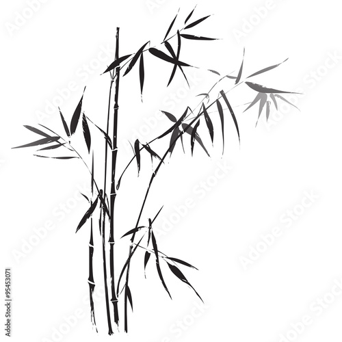 Naklejka Bambusowe gałęzie zaznaczone na czarno