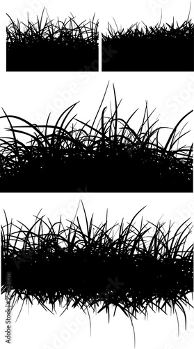 horizontal black hair fur grass lines over white
