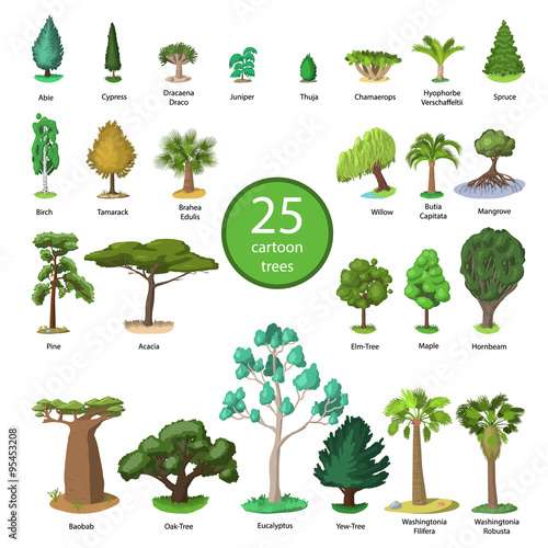 25 Diversity of trees set