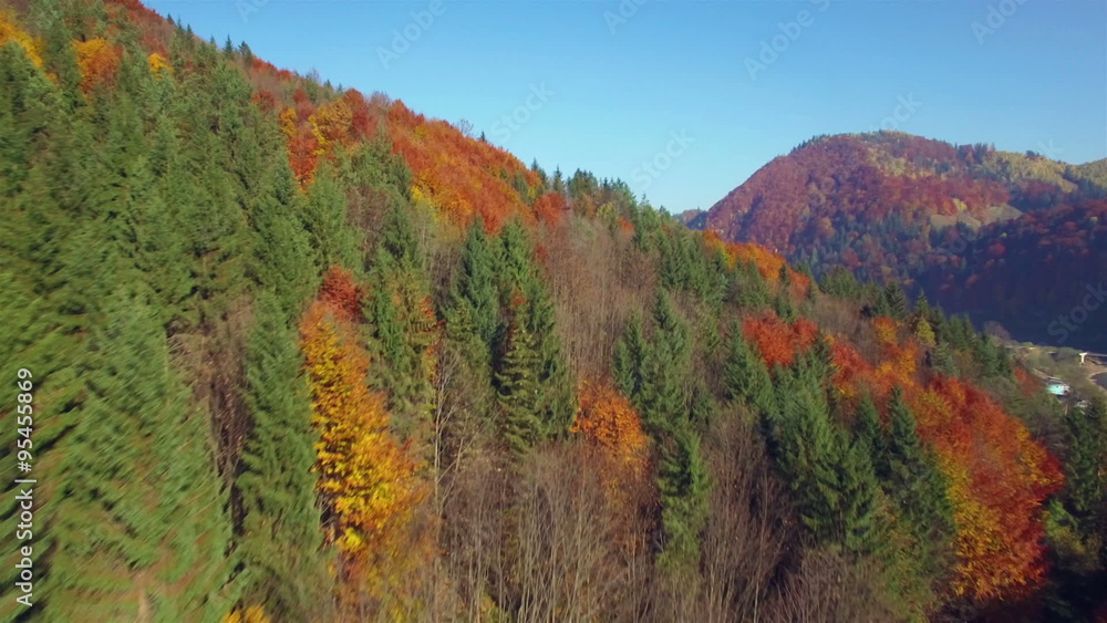 Aerial view of autumn colors Carpathians. Aerial view of autumn colors Carpathians.