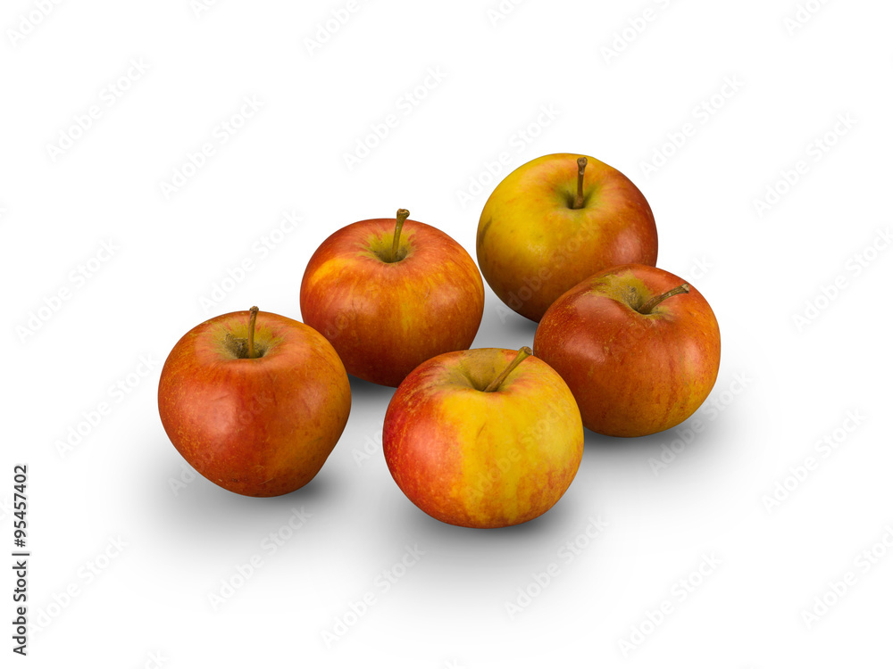 Organic Red Pippin Apples Organic Red Pippin Apples