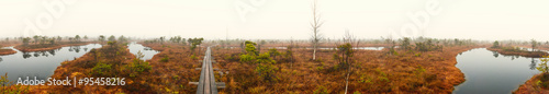 Panoramic view of Kemeri National Park. Latvia