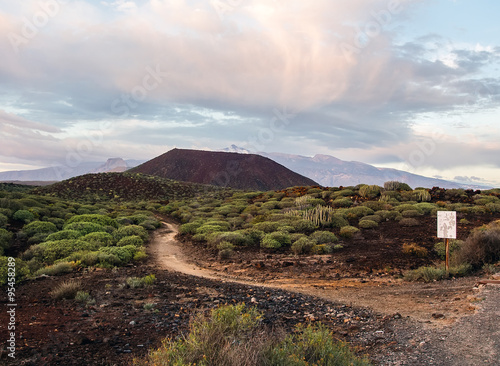 Wallpaper Mural Picturesque view to the Teide volcano. Tenerife, Canary Islands Torontodigital.ca