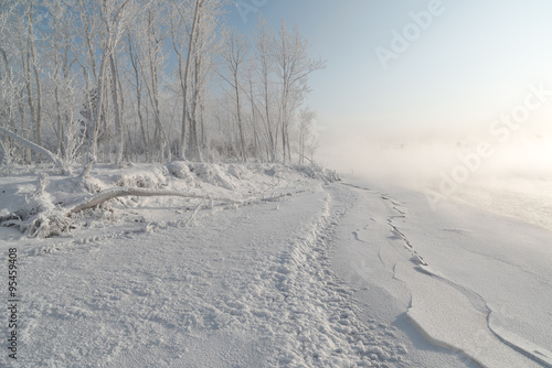 Grass and trees covered with frost and snow