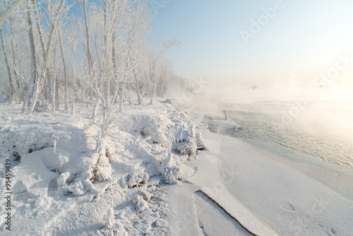 Grass and trees covered with frost and snow