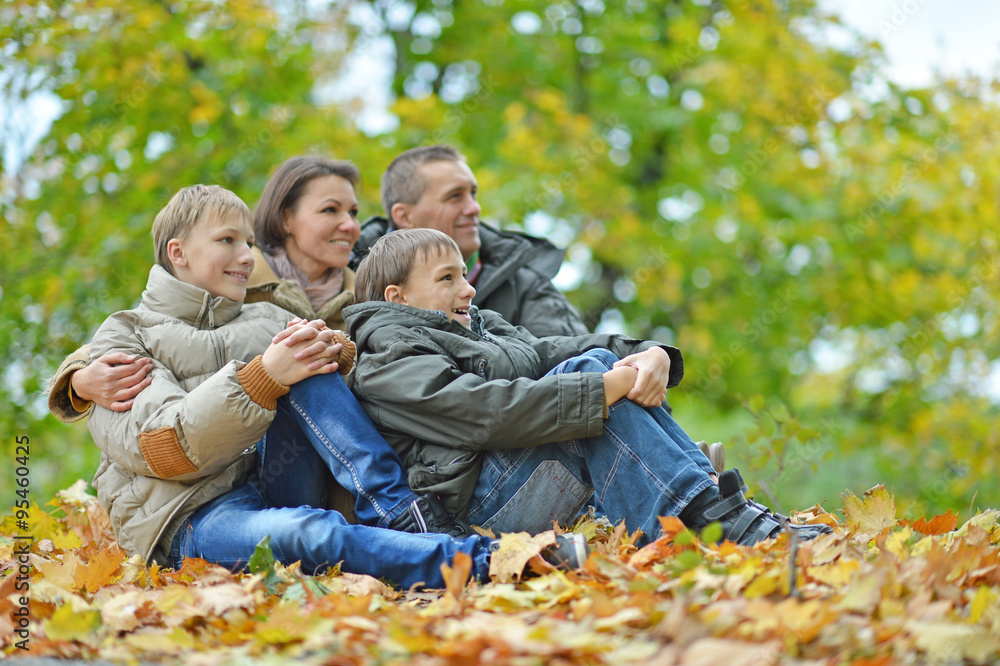 sitting in autumn park sitting in autumn park