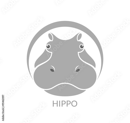 Hippopotamus