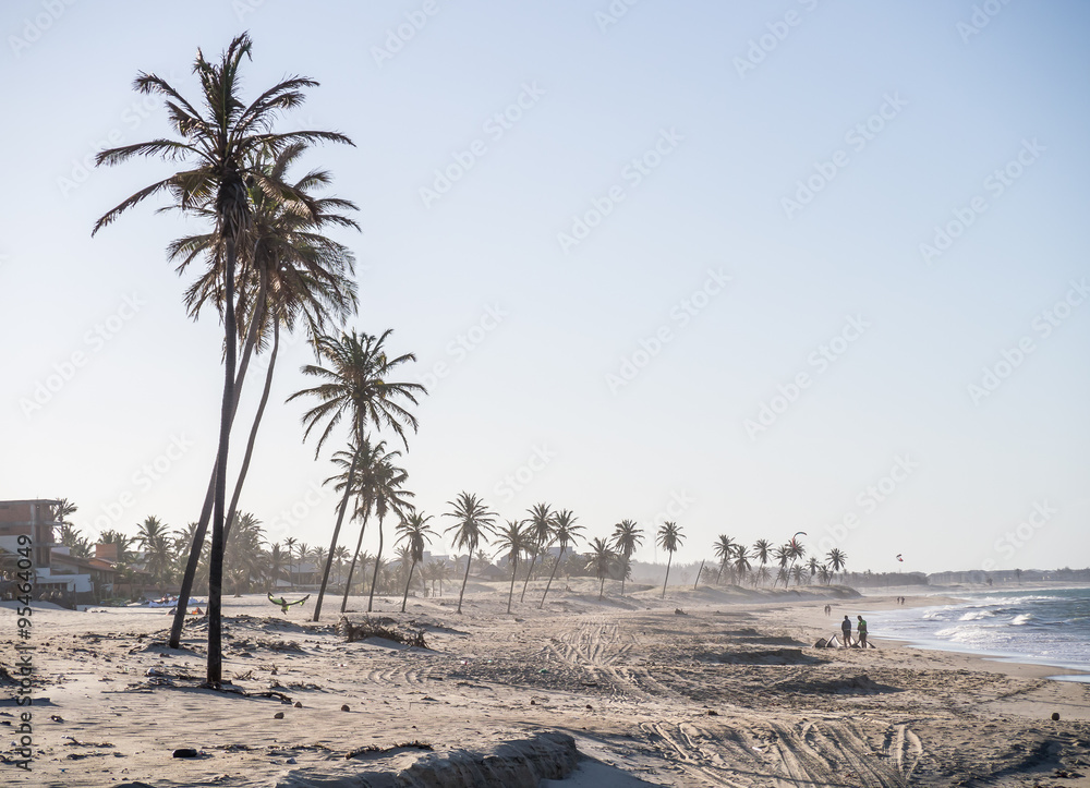 Coconut Trees on Cumbuco Beach, Brazil