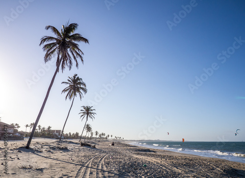 Coconut Trees on Cumbuco Beach, Brazil