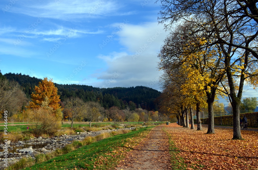 Dreisamuferweg im Herbst