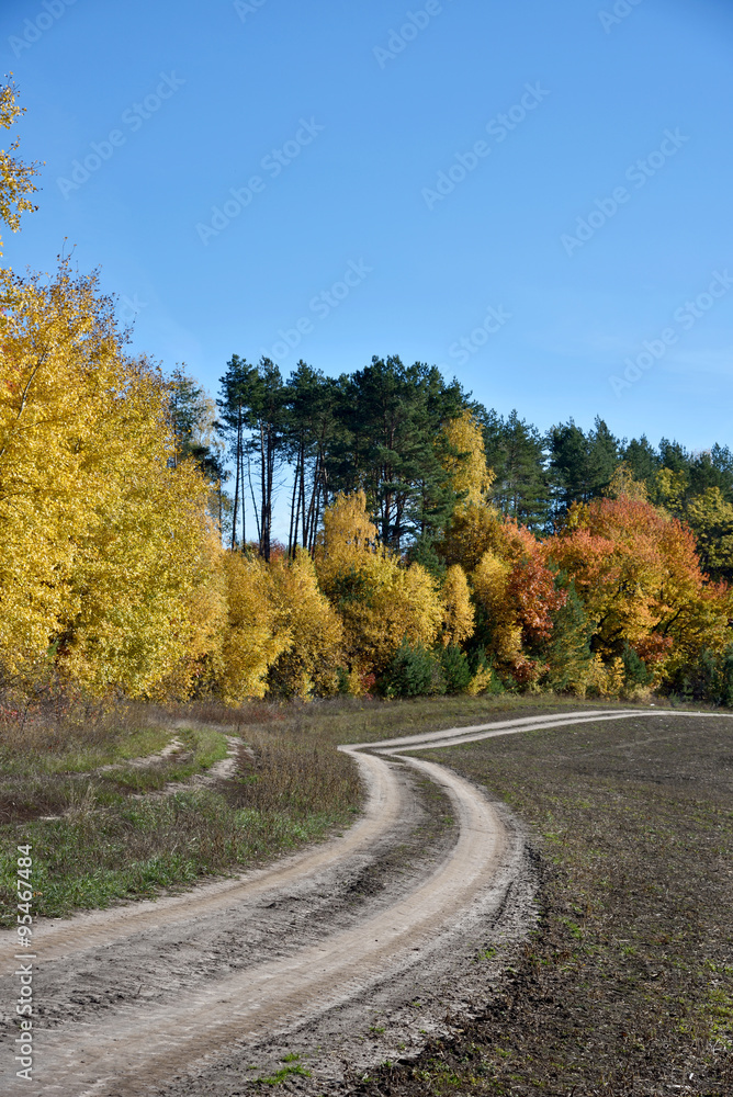 Fototapeta premium Beautiful landscape with road near autumn forest (loop, purpose,