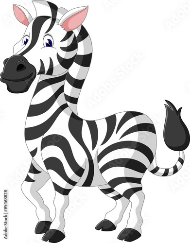 Cute zebra cartoon of illustration
