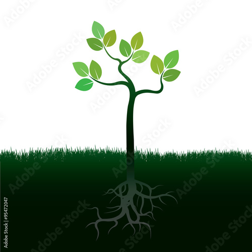 Green Tree and Roots. Vector Illustration.