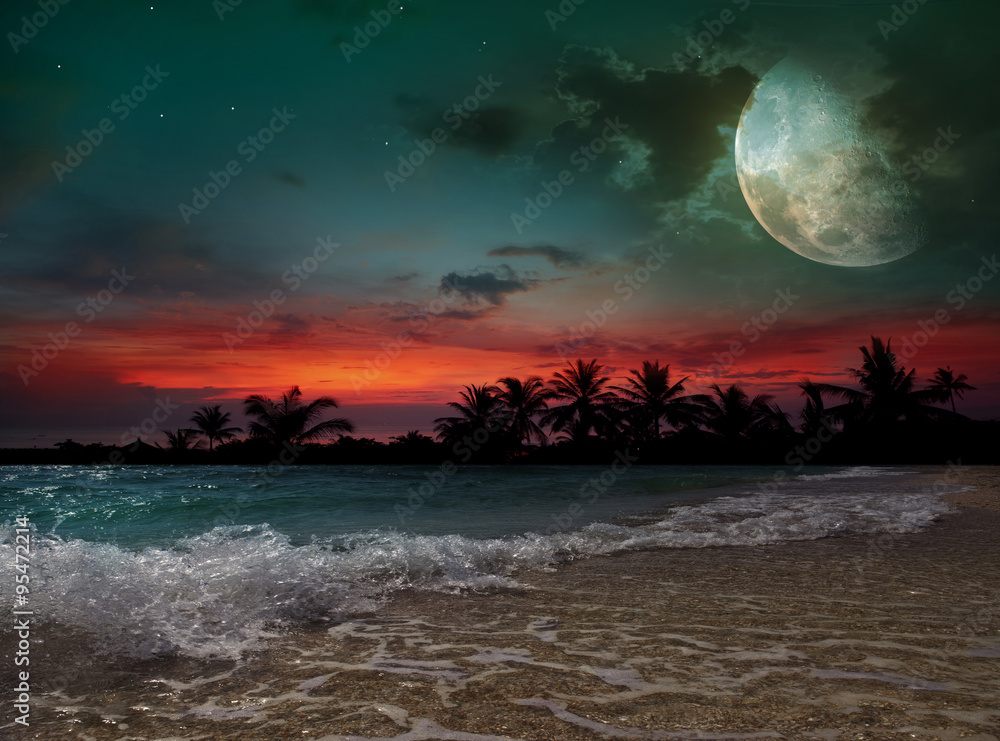 Naklejka premium Moon, ocean and palm trees