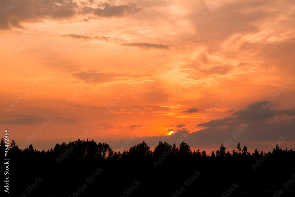 Fiery sunset and silhouette forest