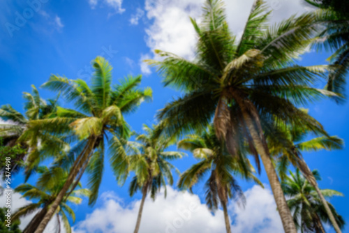 Blur Coconut palm tree on blue sky background