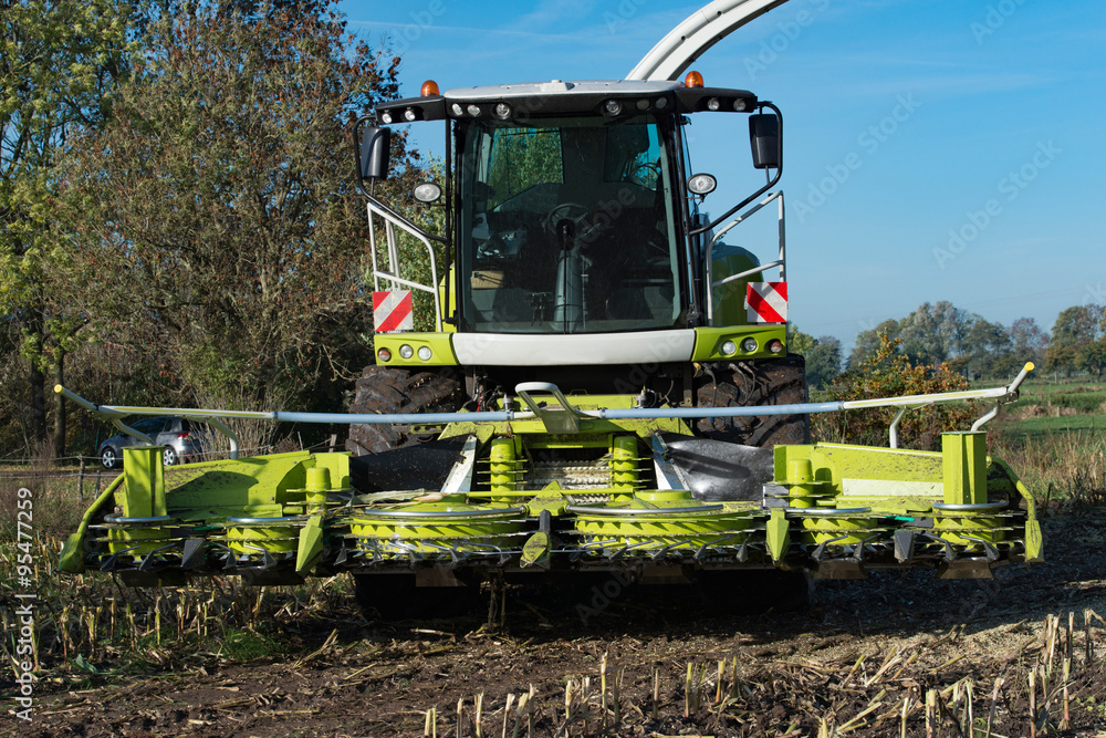 Fototapeta premium Maishäcksler 