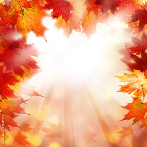 Fall Background with Autumn Maple Leaves