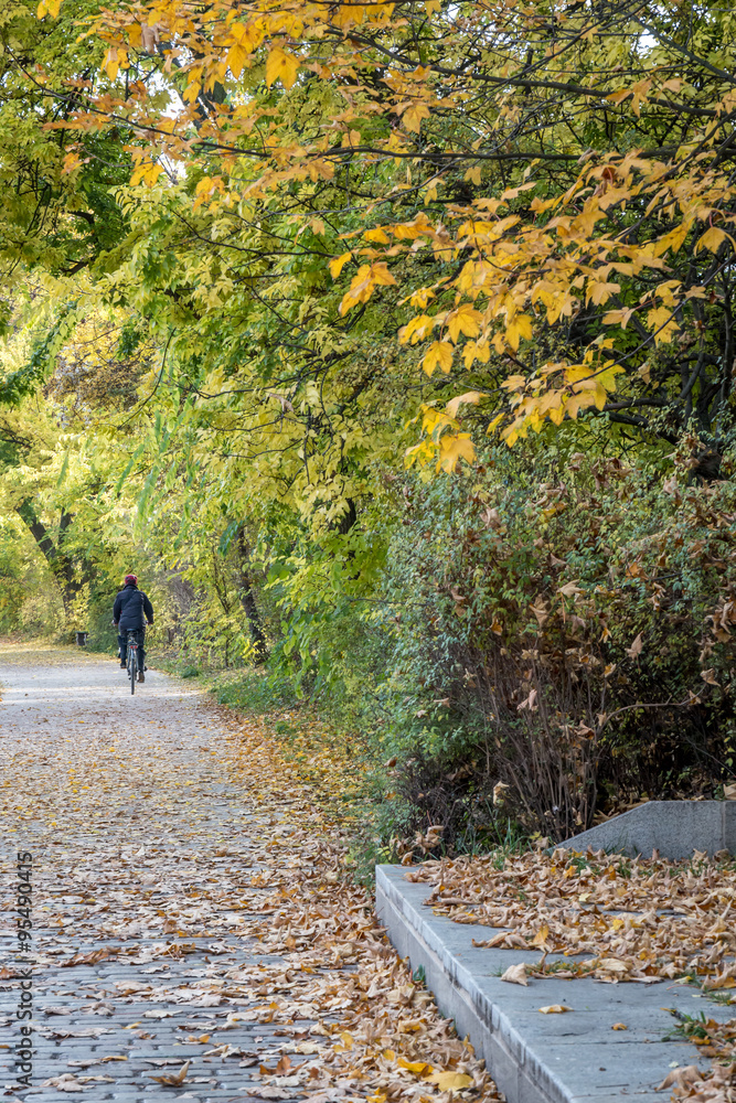 autumn view of trail on the river bank with green trees autumn view of trail on the river bank with green trees