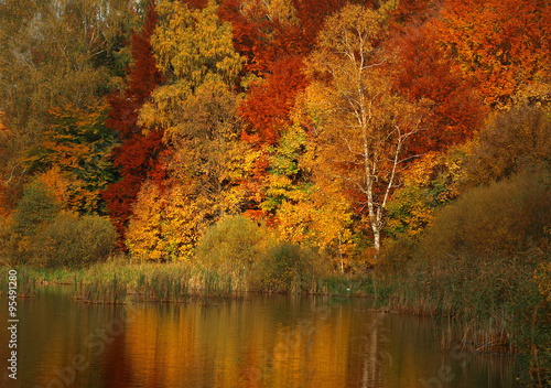 Autumn colorful lake