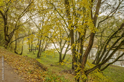 Beautiful autumn river landscape. River  Pskova  Pskov.    