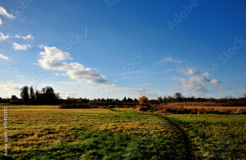Autumn landscape