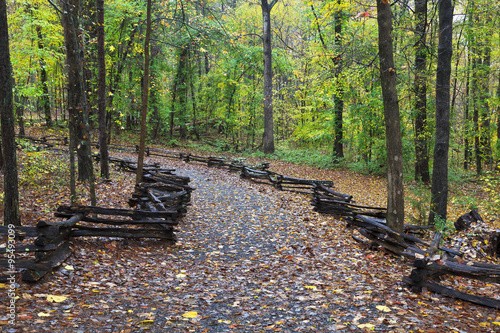 Картината върху платно Hiking trail in the woods with split rail fence on the sides, Kings Mountain Sta