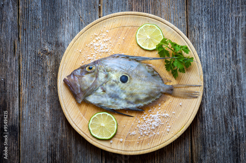 John Dory photo