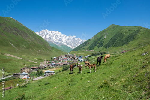 villages community called Ushguli in Upper Svanetia region, Georgia. Shkhara mountain on background © Fotokon