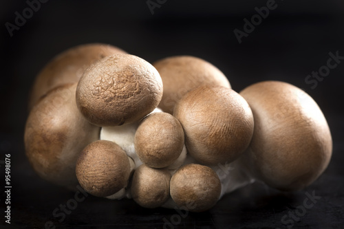 Baby bella mushrooms