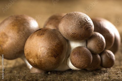 Brown Baby Bella Mushrooms