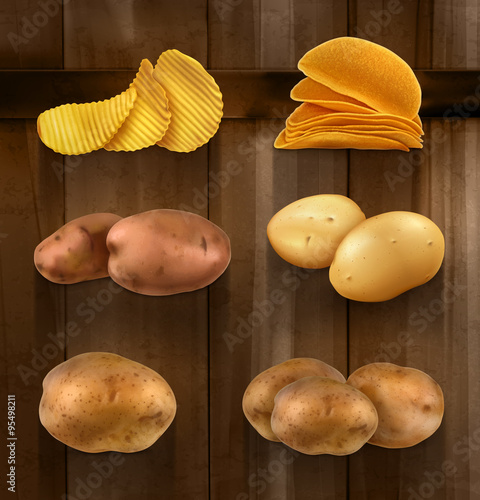 Potatoes vector set on wooden background