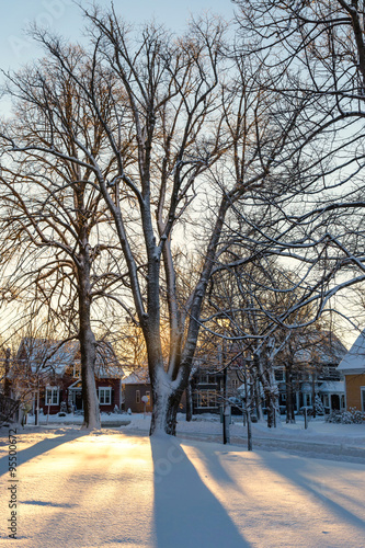 Snow Shadows in an old Neighborhood
