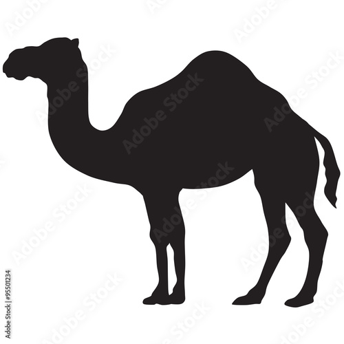 Photo camel silhouette-vector