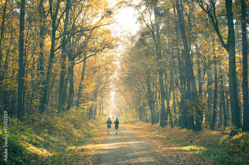 Running in forest in Puszcza Niepolomicka photo