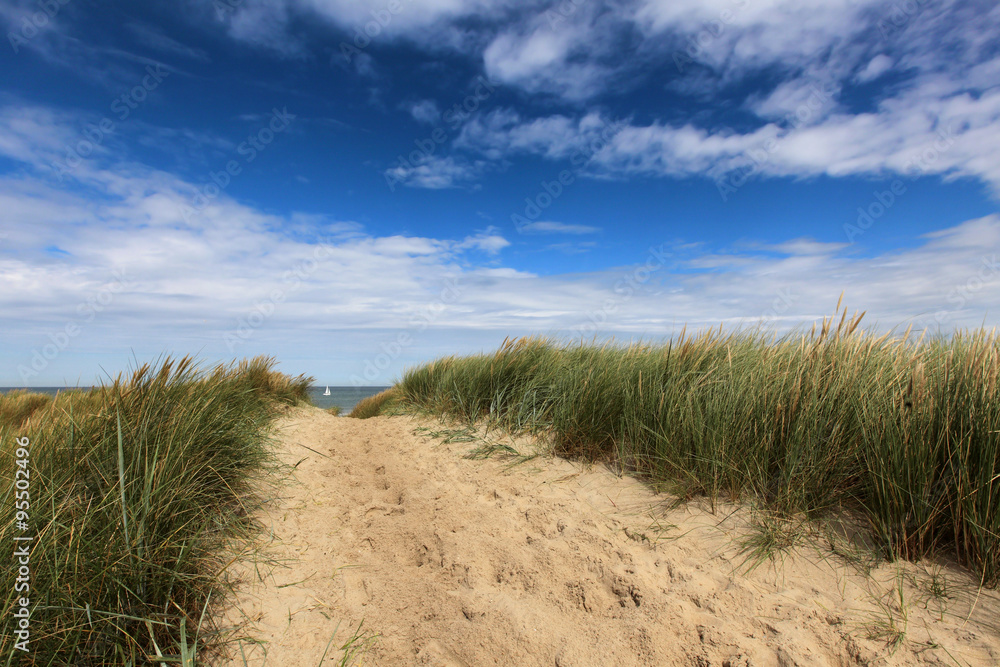 trail to the beach - coast and dune near domburg, netherlands
