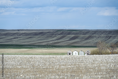 hilly fields of Canadian Prairies and old barns, Saskatchewan, Canada